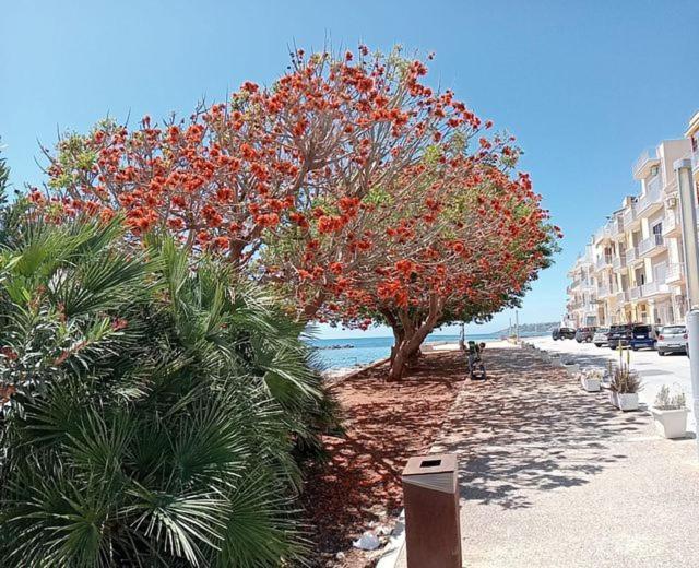 Borgo Dello Stazzone Bed & Breakfast Sciacca Bagian luar foto